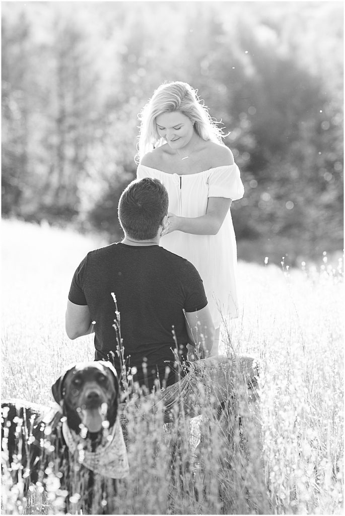 Black and white image of surprise proposal. Jake is on his knee and Cayla is holding his head in her hands. 
