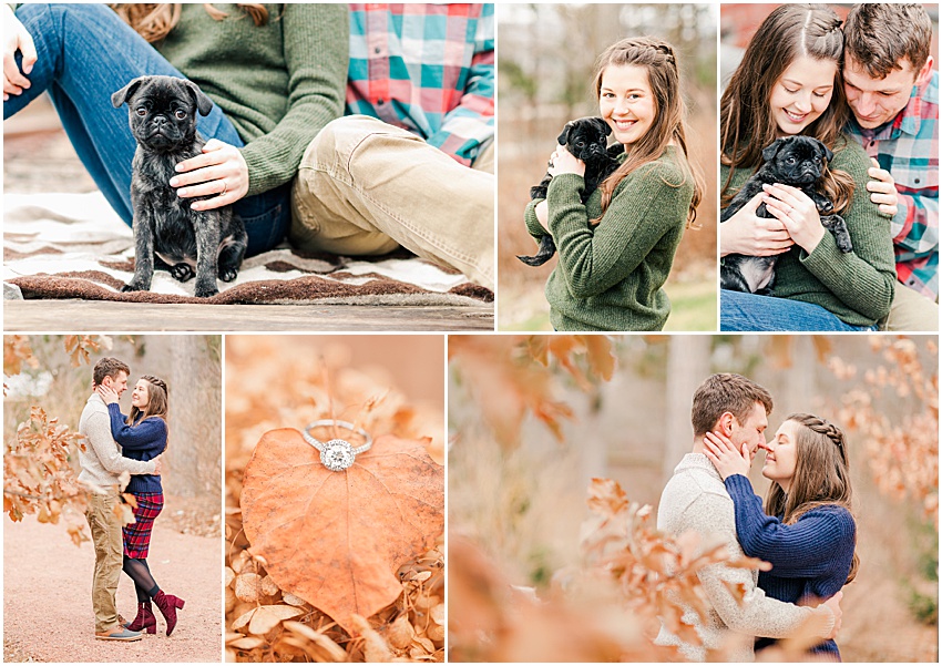 Collage of images of Danielle and Harison. Top left image is of pug puppy, top middle is of girl wearing green knit sweater holding pug puppy, top right is of couple holding pug puppy, bottom left is of couple standing toe to toe while girl holds boy's face in her hands, middle bottom is of a circle-cut engagement ring, bottom right is of top-half of couple facing each other.
